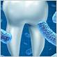 what is the bacteria in gum disease