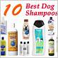 what to use to shampoo dog