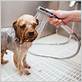 what to use to wash dog