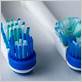 when should a electric toothbrush be replaced