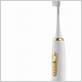 whitewash laboratories electric toothbrush