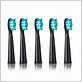 will seago replace toothbrush heads fit waterpik