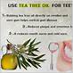 xylitol and tea tree oil and gum disease