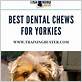 yorkie dental chews